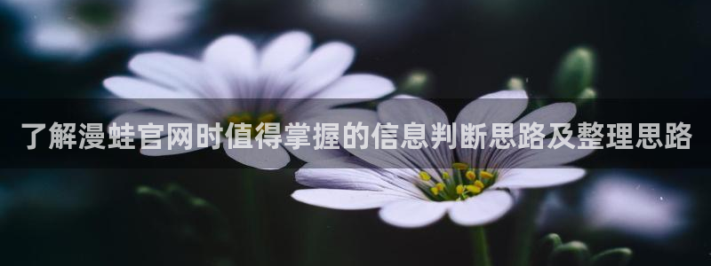 羞羞漫画网页：了解漫蛙官网时值得掌握的信息判断思路及整理思路