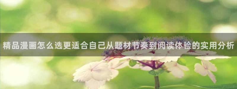 羞羞漫画最新网页:精品漫画怎么选更适合自己从题材节奏到阅读体验的实用分析